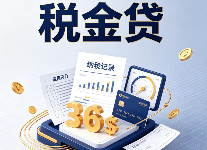 无锡滨湖区企业税贷|无锡滨湖区企业设备回租|无锡滨湖区税贷过桥
